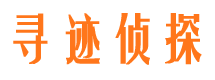 北辰调查公司